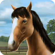 Download My Horse (MOD, Free Shopping) 1.37.1 free on android