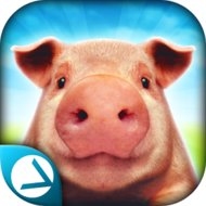 Download Pig Simulator (MOD, much money) 1.01 free on android