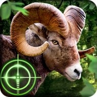 Download Wild Hunter 3D (MOD, much money) 1.0.6 free on android