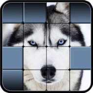 Download Hidden Pics 1.00 free on android