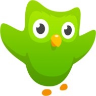 Baixar Duolingo: Learn Languages Free 3.14.2 grátis no android