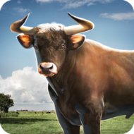 Download Bull Simulator 3D 1.2 free on android