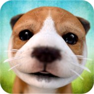 Download Dog Simulator (MOD, unlimited money) 2.2.3 free on android