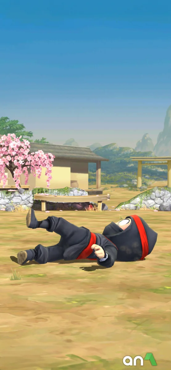 Clumsy Ninja