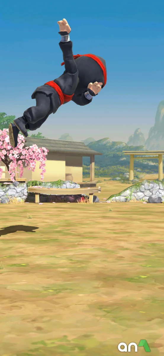 Clumsy Ninja