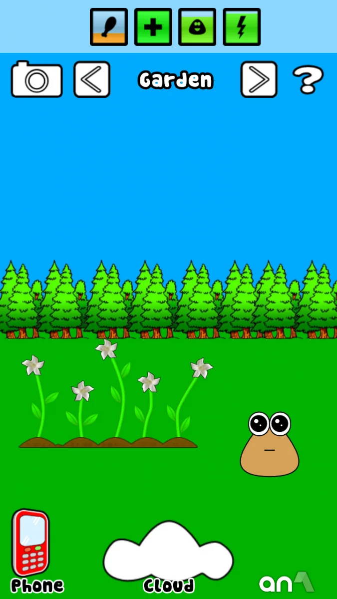 Pou