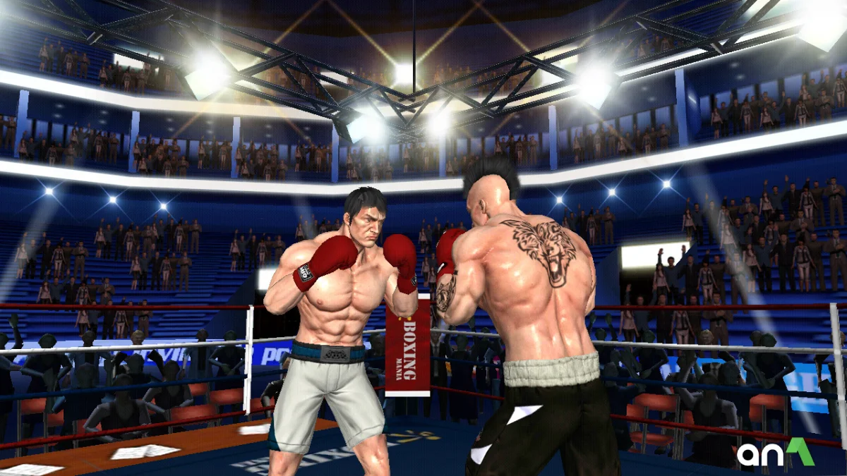 Punch Boxing 3D