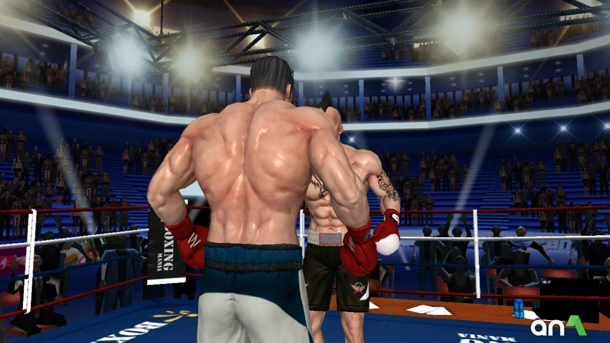 Punch Boxing 3D